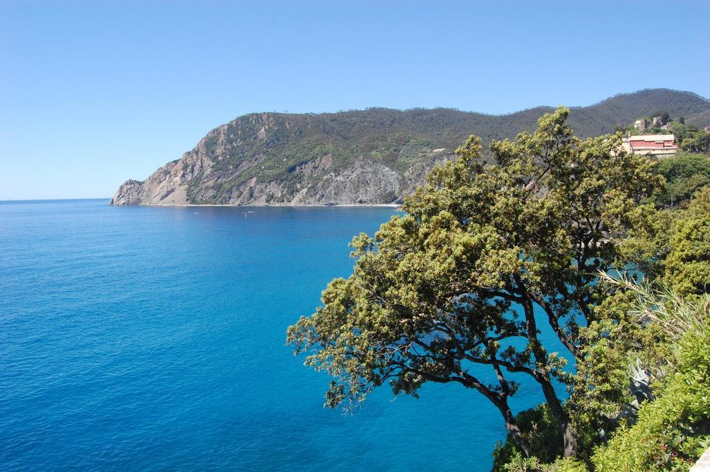 Affittacamere Irene Monterosso al Mare Exterior photo